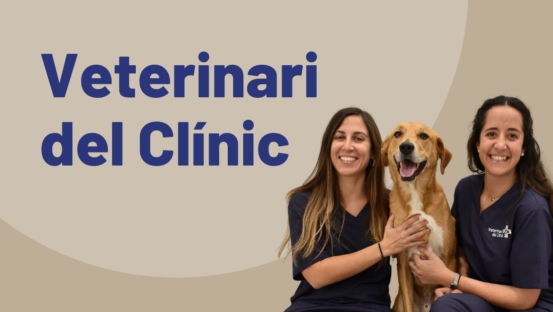 Clinica-veterinaria-Barcelona