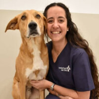 Imagen de Gala Secanella