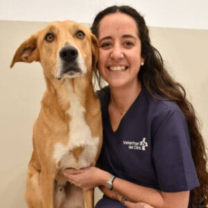 Imagen de Gala Secanella