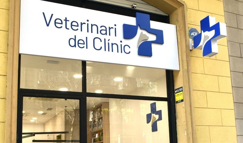 Clínica Veterinaria en Barcelona