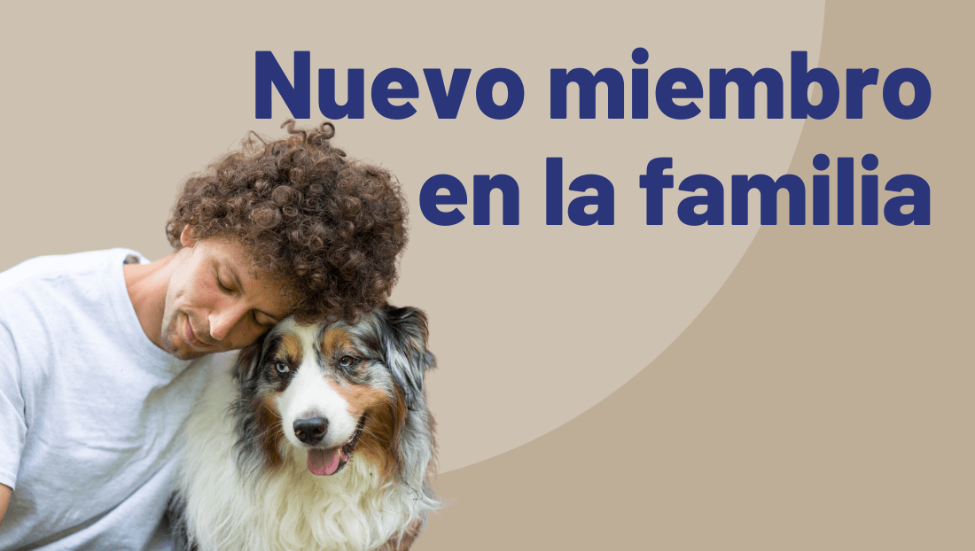 Adopción de un perro