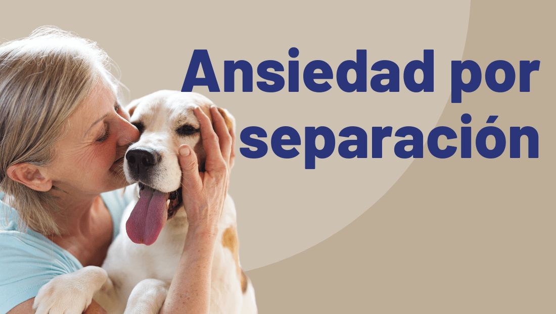 ANSIEDAD POR SEPARACIÓN EN PERROS