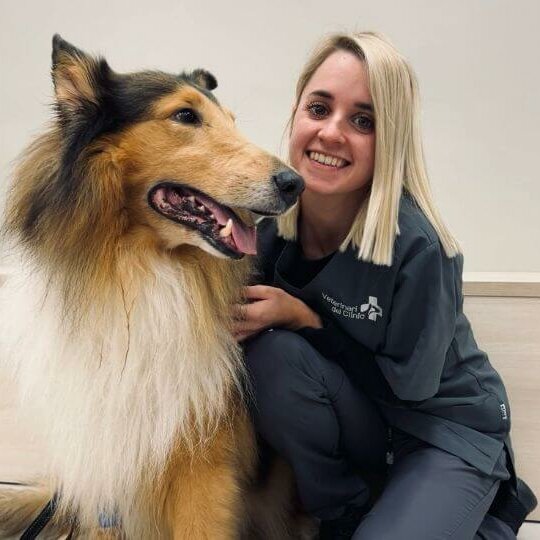 EQUIPO.VETERINARIA.BARCELONA