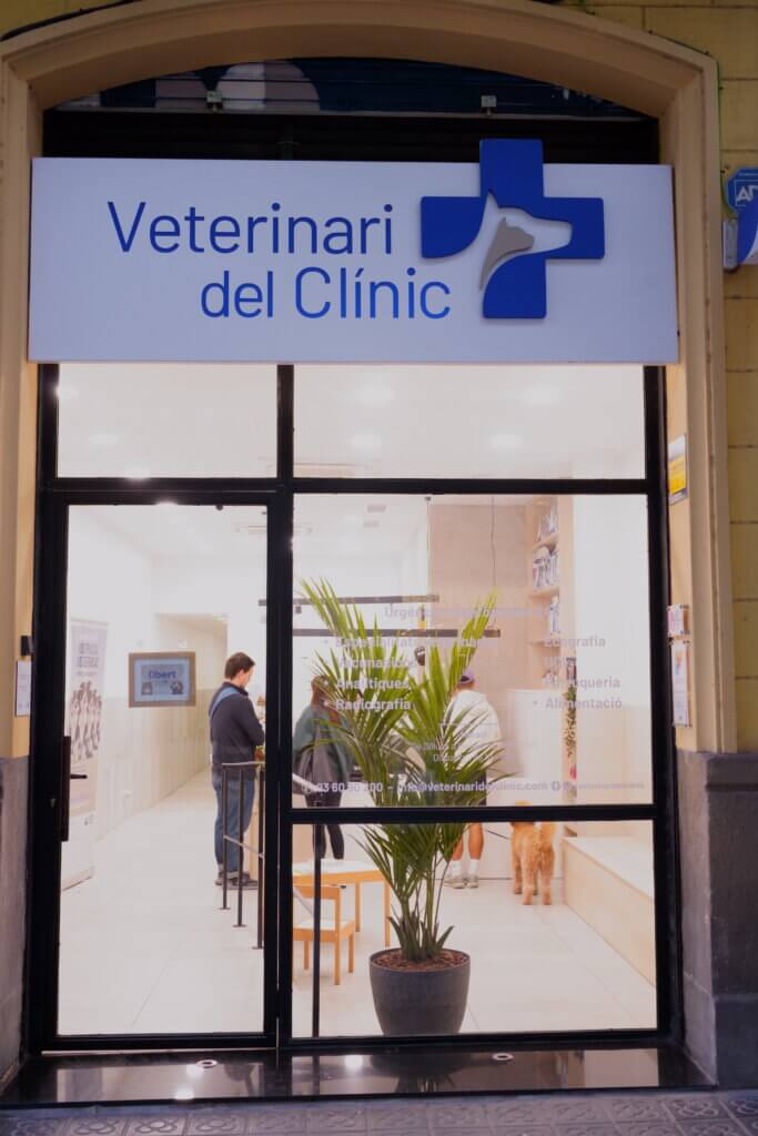 veterinari del clinic contacto
