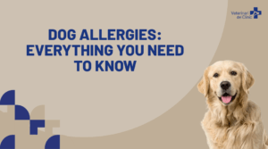 Dog scratching due to allergy skin symptoms
