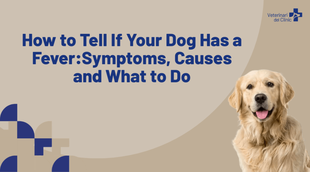 How to Tell If Your Dog Has a Fever Symptoms Causes and What to Do