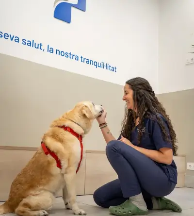 Clínica veterinaria para perros y gatos en el corazón del Eixample